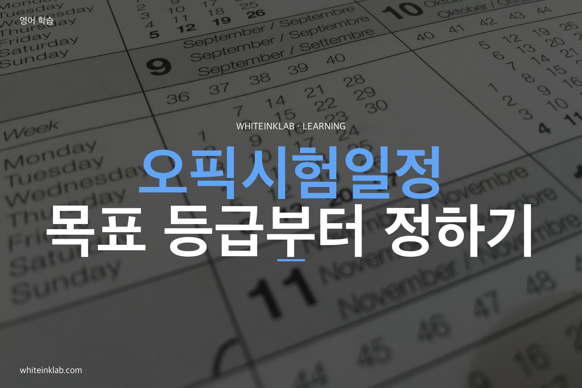 오픽시험일정을 달력에 적고 목표 등급을 정하는 학습자 이미지
