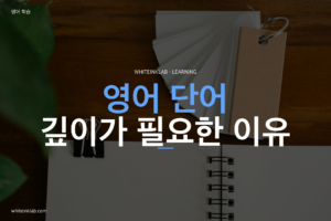 영어 단어를 많이 외웠는데도 독해가 어려운 이유를 설명하는 학습 가이드 대표이미지